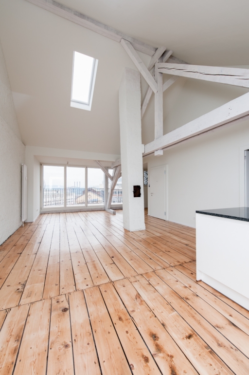 Schenker Salvi Weber MFH Elsässerstraße Basel